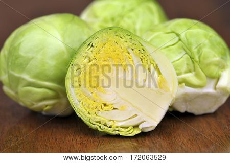 Sprouts