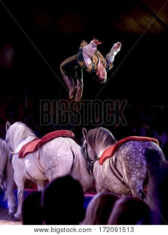 SZEGED, HUNGARY - JUNE 12. 2016 - horse riding performance of the Hungarian National Circus by the Richter Group