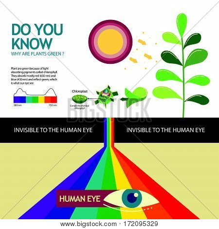 How you know why are plant green illustration design
