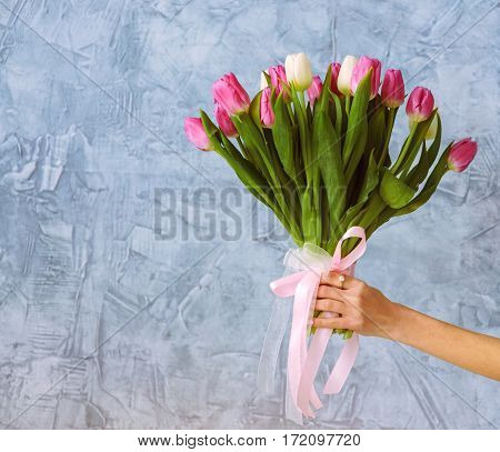 One hand with bouquet of tulips on the blue wall background