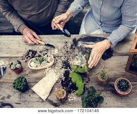 Terrarium Miniature Botanical Horticulture Grow
