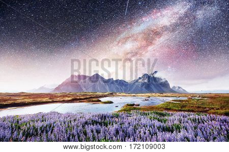 The picturesque landscapes of forests and mountains of Iceland. Wild blue lupine blooming in in summer. Fantastic starry sky and the milky way.  Courtesy of NASA.