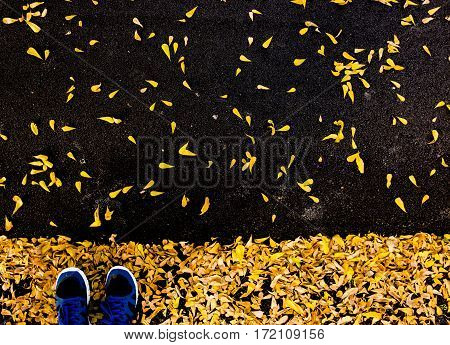 selfie of feet with running shoes on asphalt floor leaf covered in city park
