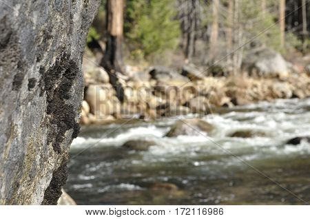 2016 Yosemite, California: Close up view of rocks with patches of moss