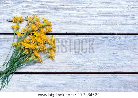 bouquet of dandelions on the boards.simple rustic background,.top view.