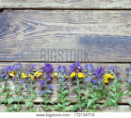 wildflowers on a wooden surface.the unpretentious rustic background.toned