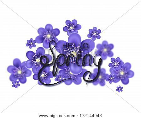 Hello Spring letter decorating with Hepatica flower. Seasonal lettering decoration with blur effect. Vector illustration.