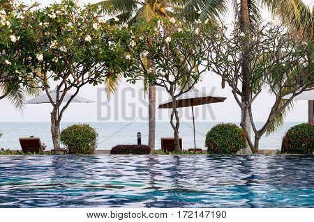 Coconut Tree And Chair Around Outdoor Swimming Pool In Hotel Resort Neary Sea And Beach - Boost Up C