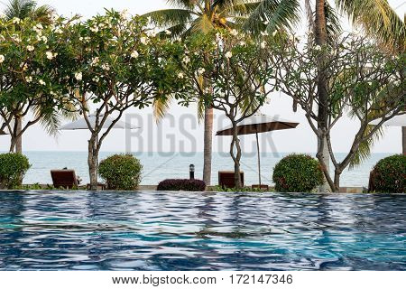 Coconut Tree And Chair Around Outdoor Swimming Pool In Hotel Resort Neary Sea And Beach - Boost Up C