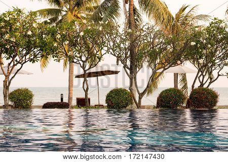 Coconut Tree And Chair Around Outdoor Swimming Pool In Hotel Resort Neary Sea And Beach - Boost Up C