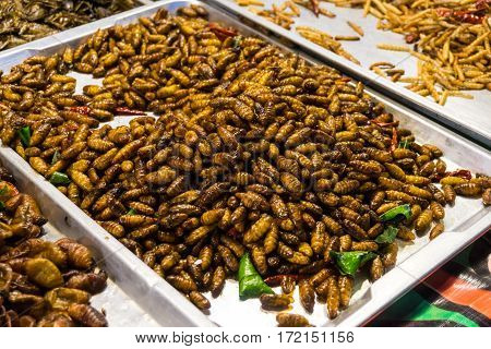 Fried Of Many Warm Insect Alternative Protein Nutrition