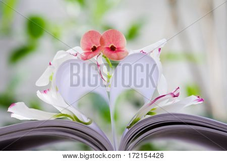 Petals & pistil of Eustoma russellianum flower & heart shape which made by white paper notebook. Clear bright nature background