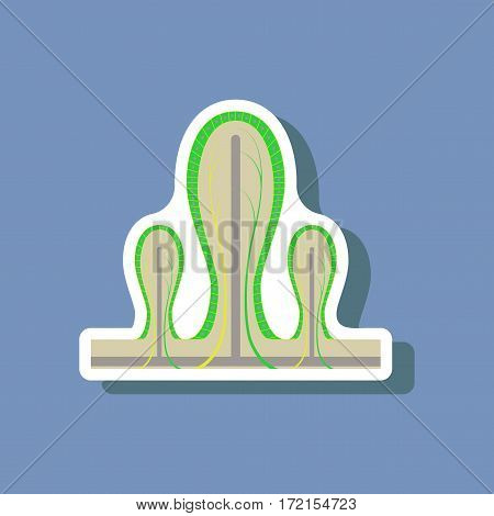 paper sticker on stylish background intestinal villi