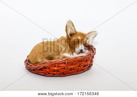 sleepy time, a dog statue from a pet collection