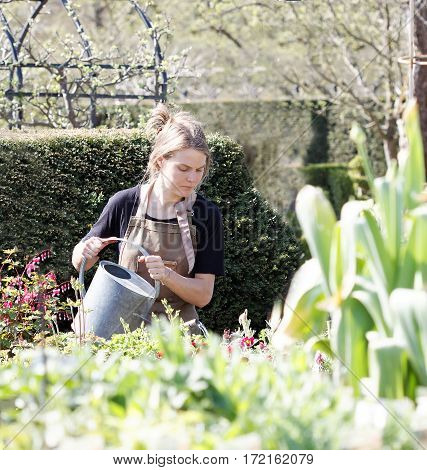 HELSINGBORG SWEDEN - MAY 07 2016: Girl working as gardener at Sofiero water the plants using an ewer. May 07 2016 Helsingborg Sweden