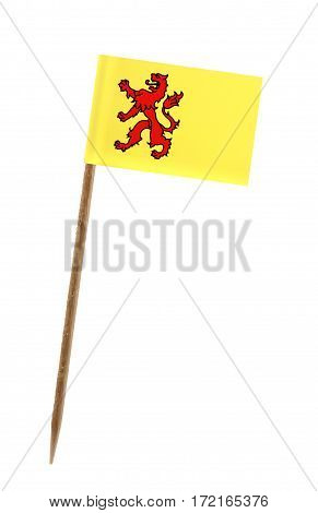 Tooth pick wit a small paper flag of Zuid Holland