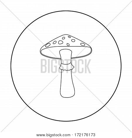 Green amanita icon in outline style isolated on white background. Mushroom symbol vector illustration.