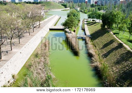 Landscape of the park of the head-board in Valencia spain