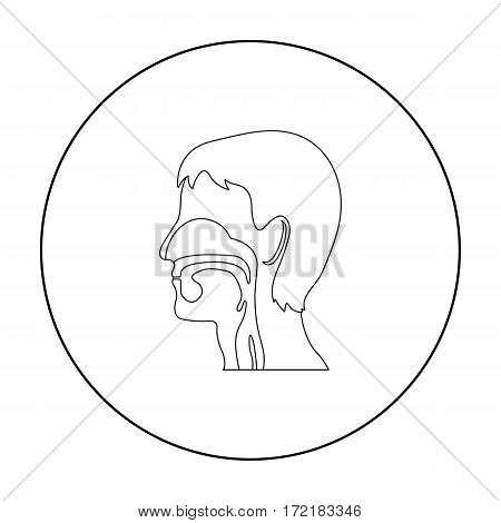 Respiratory system icon outline. Single medicine icon from the big medical, healthcare outline.