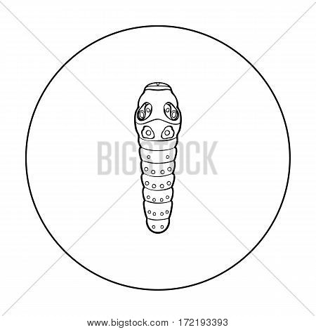 Caterpillar icon in outline design isolated on white background. Insects symbol stock vector illustration.