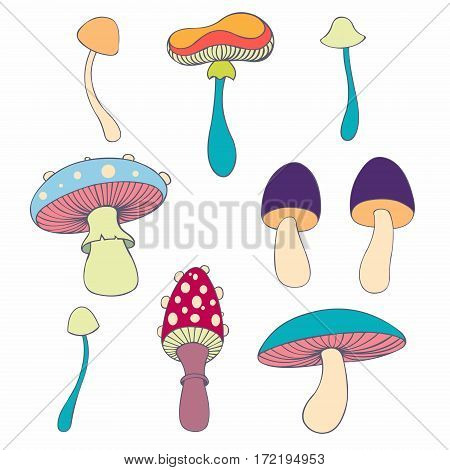 Stylized mushrooms in cartoon style. Vector collection for your design