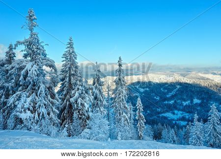Winter Carpathian Mountains Landscape, Ukraine.