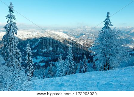 Winter Carpathian Mountains Landscape.