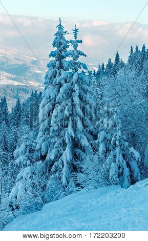 Winter Carpathian Mountains Landscape, Ukraine.