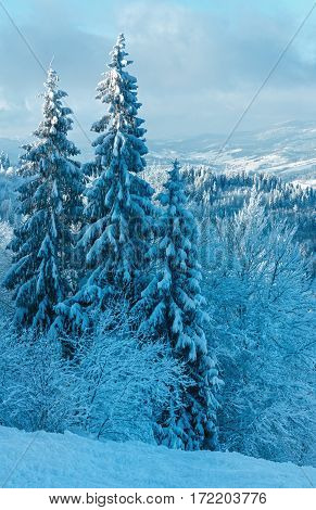 Winter Carpathian Mountains Landscape, Ukraine.