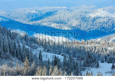 Winter Ukrainian Carpathian Mountains Landscape.