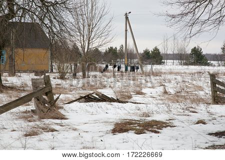 Belarus February 2017 The abandoned village empty house wash clothes is dried after washing fluttering in the damp wind knocked down the fence the end of winter electricity pole