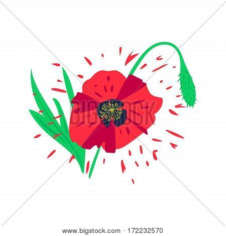 illustration of a bright poppy flower. Card or invitation design element Remembrance day symbol.