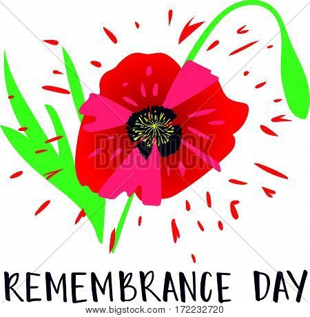 Vector illustration of a bright poppy flower. Remembrance day symbol. Remembrance day lettering.