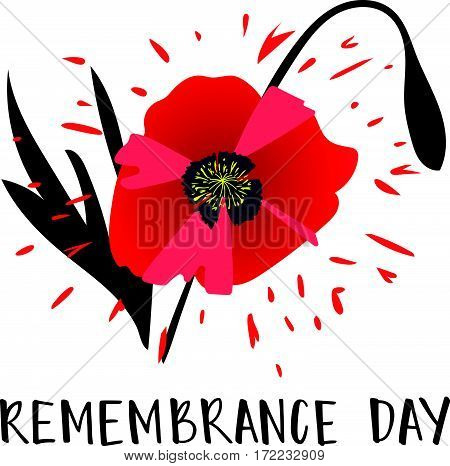 Vector illustration of a bright poppy flower. Remembrance day symbol. Remembrance day lettering.