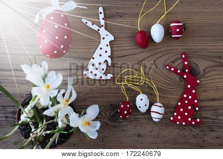 Sunny Flat Lay Of Easter Decoration Like Easter Bunny And Easter Eggs. White Spring Crocus Flower. Vintage Or Rustic Wooden Background. Card For Season Greetings