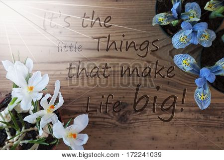 Wooden Background With English Quote It Is The Little Things That Make Life Big. Sunny Spring Flowers Like Grape Hyacinth And Crocus. Aged Or Vintage Style