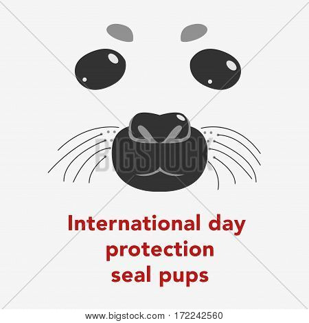 Seal Pups Vector