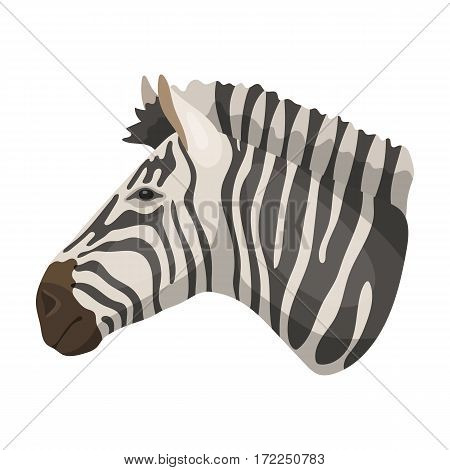 Zebra icon in cartoon design isolated on white background. Realistic animals symbol stock vector illustration.