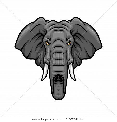 Elephant vector mascot icon. Head of African or Indian elephant or mammoth animal with tusks and trunk. Isolated emblem design for sport team, safari nature hunting club or tattoo sign