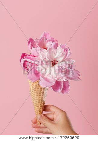 peony in the waffle cone