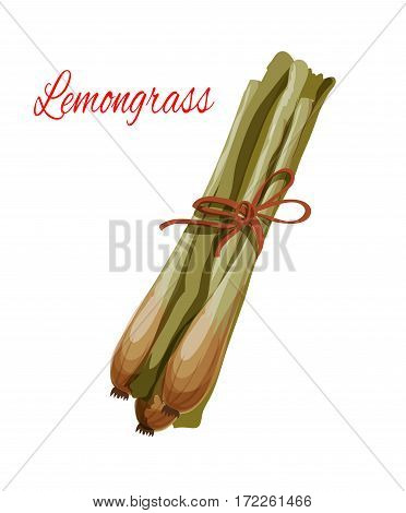 Lemongrass or lemon grass vector icon. Herbal spice plant or green herb of asian or oriental cuisine culinary condiment, salad dressing or flavoring ingredient. Isolated vector piquant plant branch