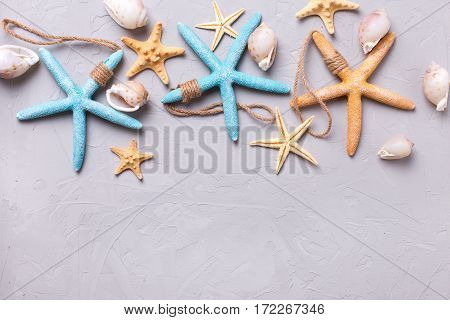 Marine items on grey tetured slate background. Sea objects. Selective focus. Place for text.