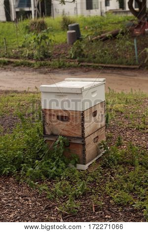 Stacks Of Langsroth Bee Hives