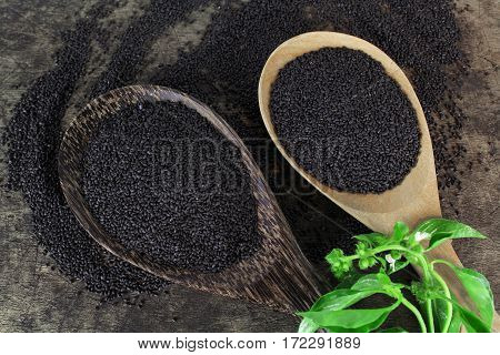 raw basil seed, herb in Thai, aids digestion as a laxative