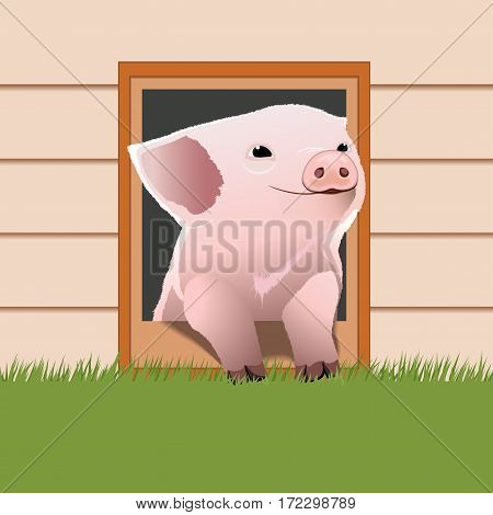 Piglet come out from the pet door. Cute piglet. Happy pig face. Cartoon character. Vector illustration