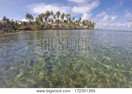 Seascape Of A Tropical Resort In Fiji