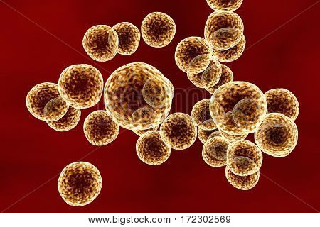 Bacteria Staphylococcus aureus MRSA on colorful background, 3D illustration