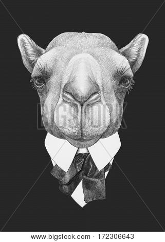 Portrait of Camel in suit. Hand drawn illustration.