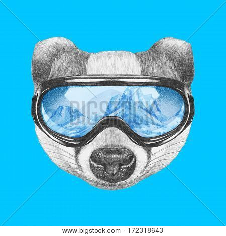 Portrait of Badger with ski goggles. Hand drawn illustration.