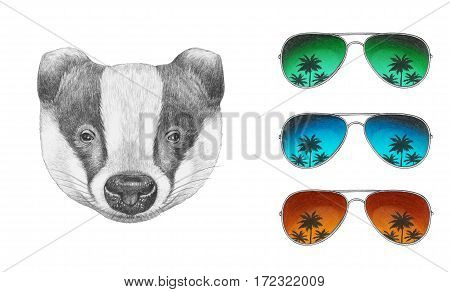 Portrait of Badger with mirror sunglasses. Hand drawn illustration.
